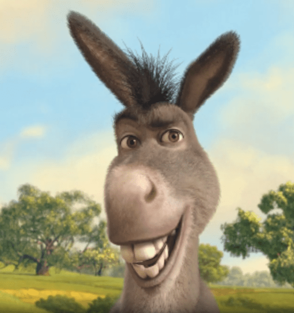 Image of Donkey from Shrek for that personal Donkey animation voiceover message