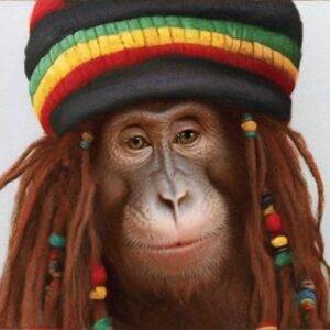 Picture of Rasta Orangutan for the hilsrious Personal Rasta Orangutan Animation Voiceover Message and Valentine's day message